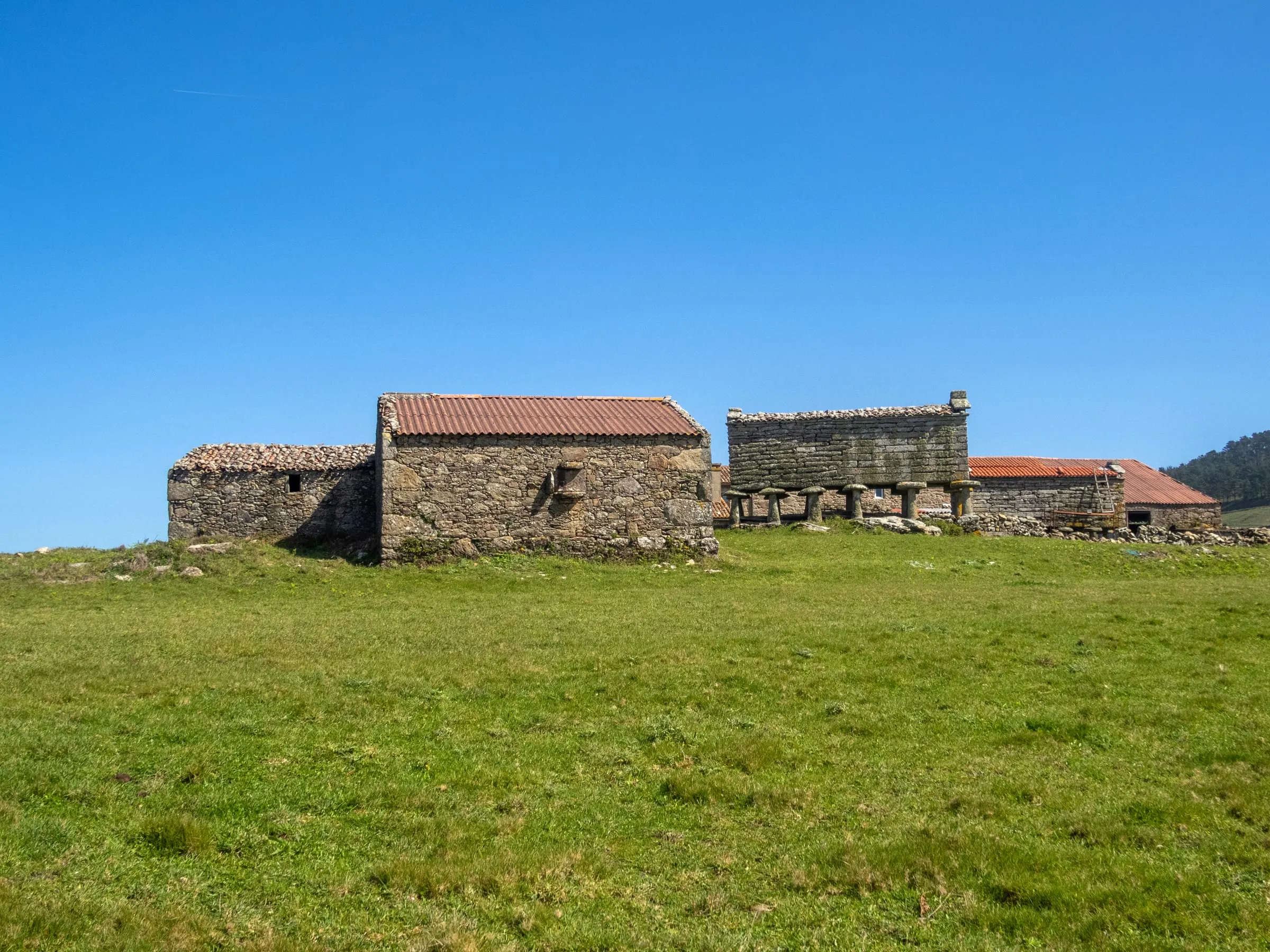 Casas tradicionales gallegas de piedra con hórreo junto a un prado